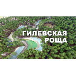 Отзыв о Парк Гилевская роща (Россия, Тюмень)