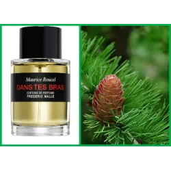 Отзыв о Парфюмерная вода Dans Tes Bras Frederic Malle