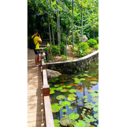 Отзыв о Парк Sanya Tropical Paradise (Китай, Санья)