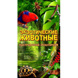 Отзыв о Экзотариум (Россия, Кострома)