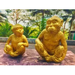 Отзыв о Гора обезьян Monkey Hill (Таиланд, Пхукет)