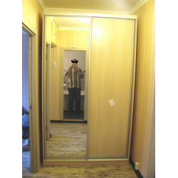 Какие двери для шкафа-купе выбрать в Леруа Мерлен — webmaster-korolev.ru