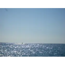 Отзыв о Отдых в Хосте (Россия, Сочи)