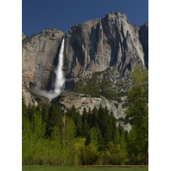 Отзыв о Экскурсия в национальный парк Yosemite (США, Калифорния)