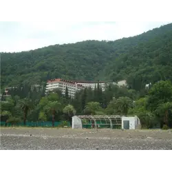 Отзыв о Пансионат "Колхида" (Абхазия, Гагра)