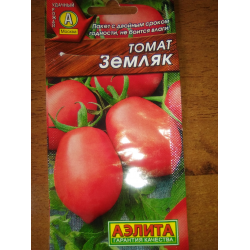 Сорт томата земляк отзывы