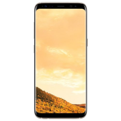 Отзыв о Смартфон Samsung Galaxy S8+