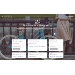 Отзыв о Платежный сервис А-3