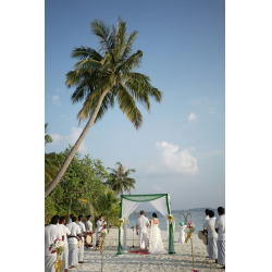 Отзыв о Свадьба на Мальдивах