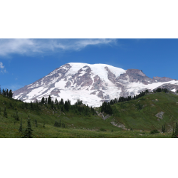 Отзыв о Национальный парк "Mount Rainier" (США, Вашингтон)