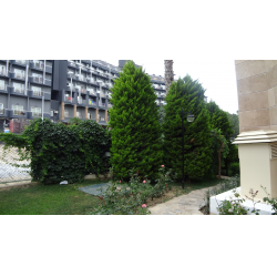 Отзыв о Отель Trendy Palmbeach Hotel Side 5* (Турция, Сиде)