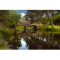 Фото Прогулка на лодках по озеру Стоу в Golden Gate Park (США, Сан-Франциско)