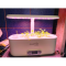 Фото Система гидропонная для проращивания растений Cactus Garden SC-SMARTPOT-11