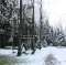 Фото Домик в лесу для отдыха Amor Village (Россия, Московская область)