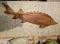 Фото Разделочная доска из дуба ДомWood "Осетр"