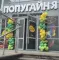 Фото Дом ручных попугаев "Попугайня" (Россия, Нижний Новгород)