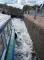 Фото Водная прогулка по Августовскому каналу (Беларусь, Гродно)