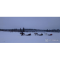 Фото Экскурсия "Полярный экспресс" (Финляндия, Лапландия)