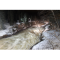 Фото Экскурсия к водоскату Иматранкоски (Финляндия)