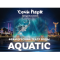 Фото Французский театр воды "Aquatic" (Россия, Сочи)